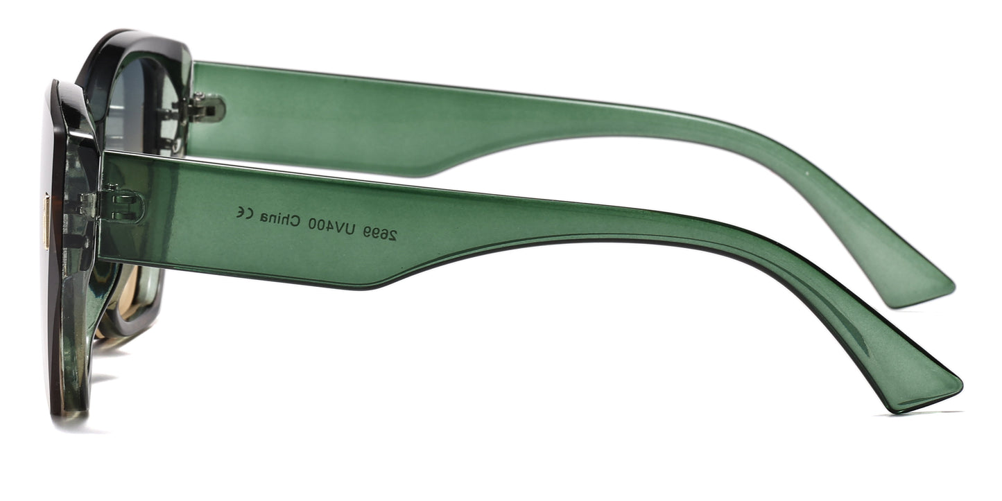 DS-2699 - Lentes estilo Cat Eye para mujer con marco plástico elegante