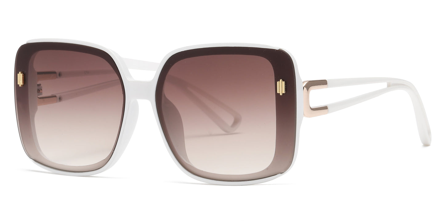 DS-5254 - Lentes mariposa para mujer con armazón plástico elegante