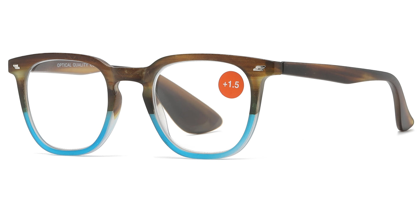 DS-RS 1273 - Lentes de lectura con diseño clásico en plástico
