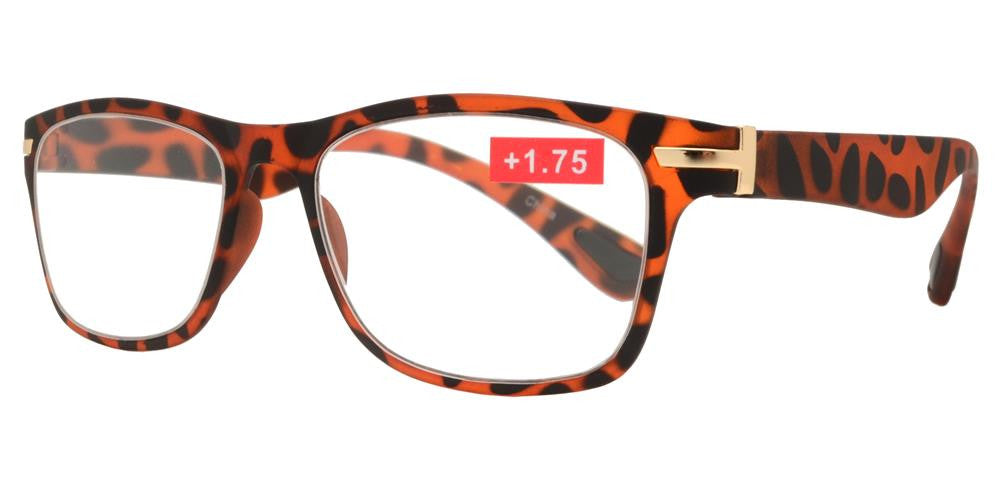 DS-RS 1196 - Lentes de lectura clásicos estilo Horn Rimmed en plástico con detalles metálicos