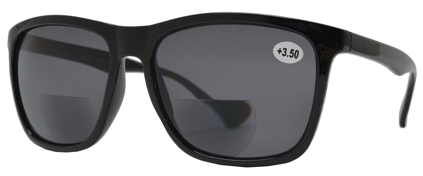 DS-RS 1210 BF - Lentes de sol bifocales clásicos para exteriores