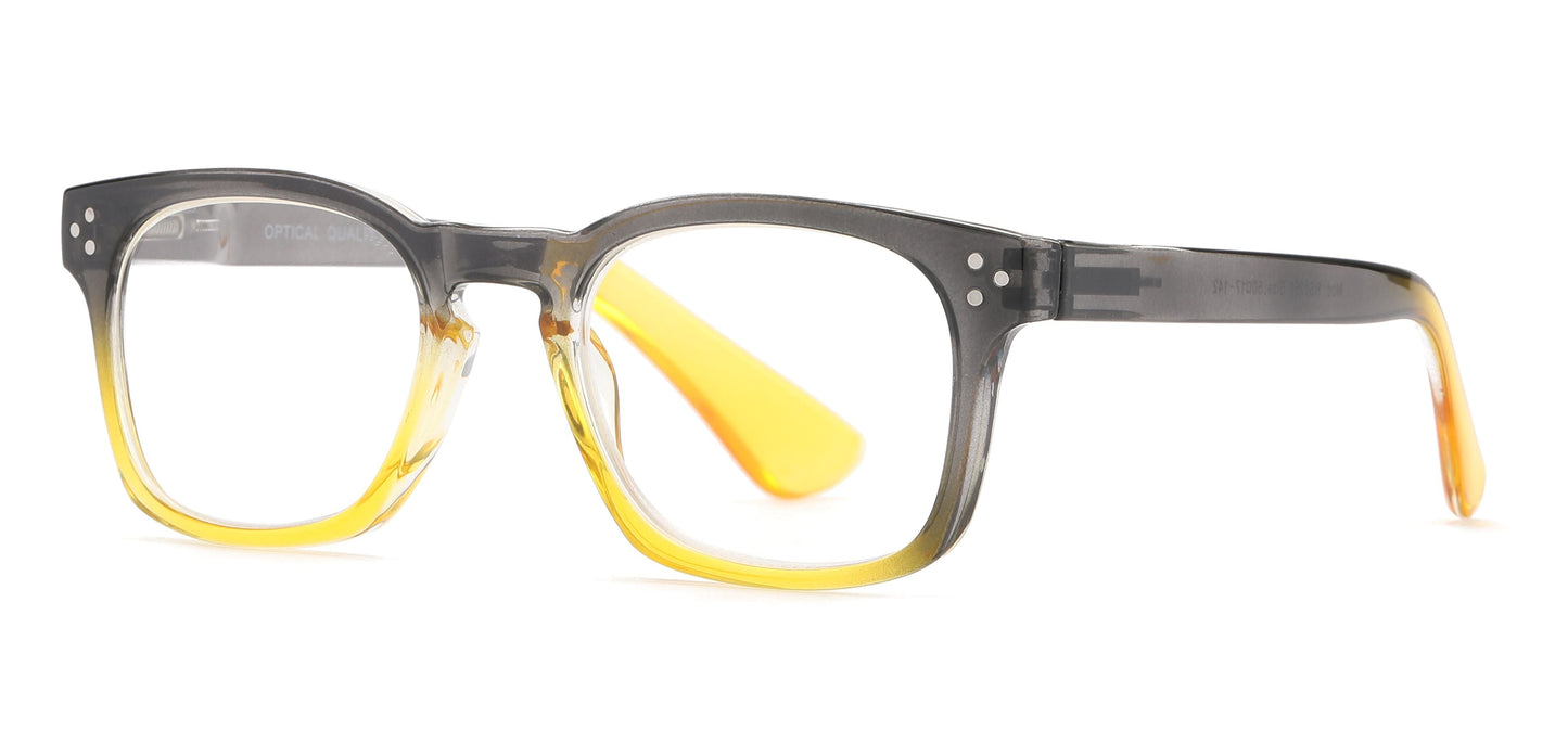 DS-RS 1256 - Lentes de lectura de plástico