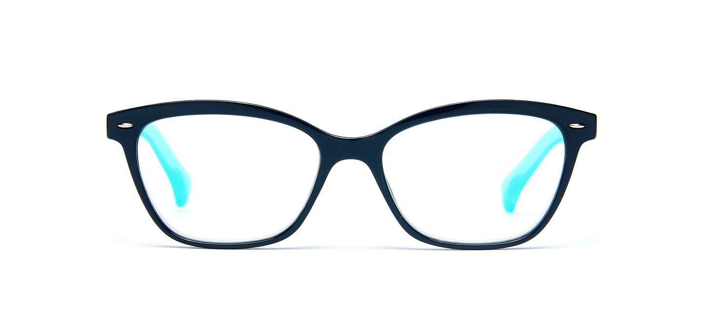 DS-RS 1229 - Lentes de lectura de plástico