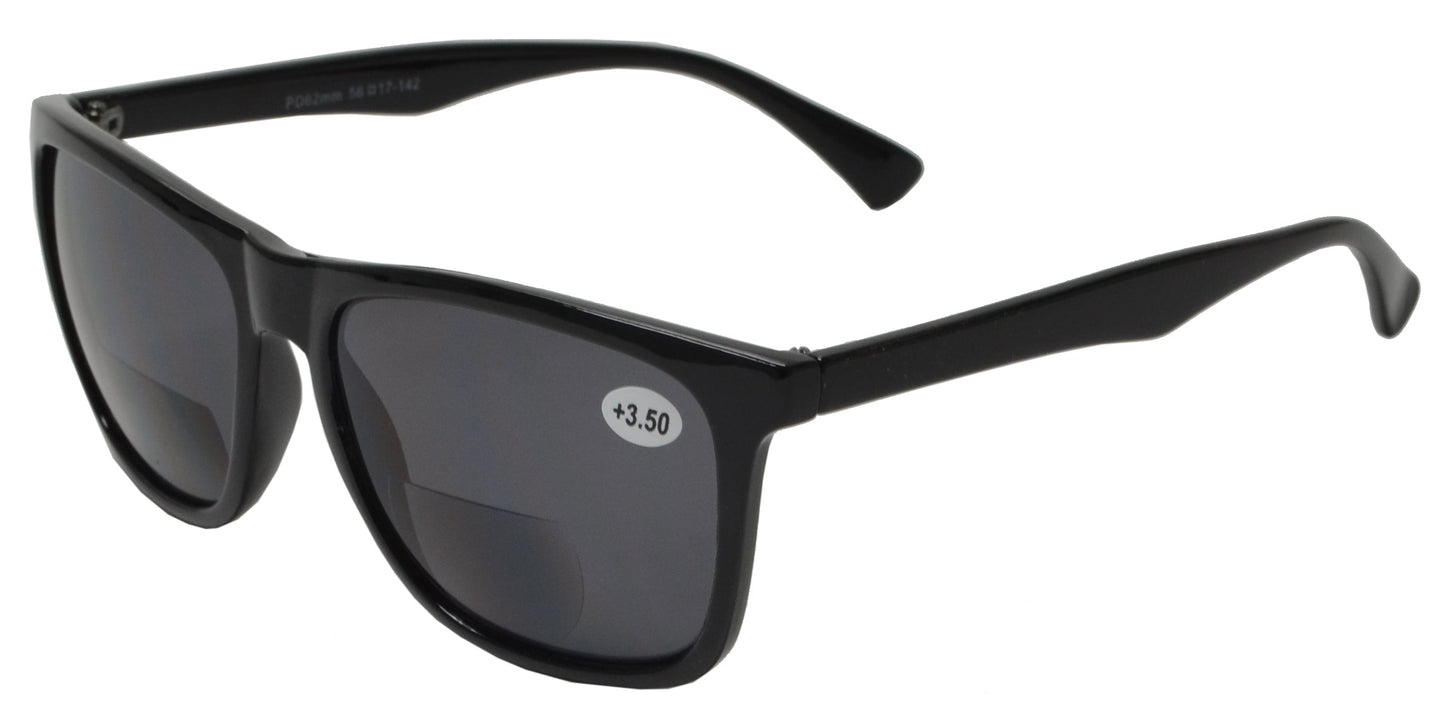 DS-RS 1210 BF - Lentes de sol bifocales clásicos para exteriores