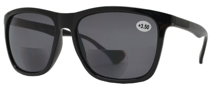 DS-RS 1210 BF - Lentes de sol bifocales clásicos para exteriores