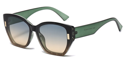 DS-2699 - Lentes estilo Cat Eye para mujer con marco plástico elegante