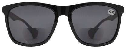 DS-RS 1210 BF - Lentes de sol bifocales clásicos para exteriores